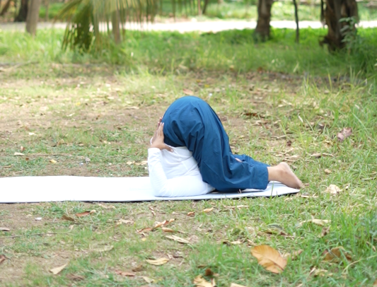 Guided Sadhana Sessions